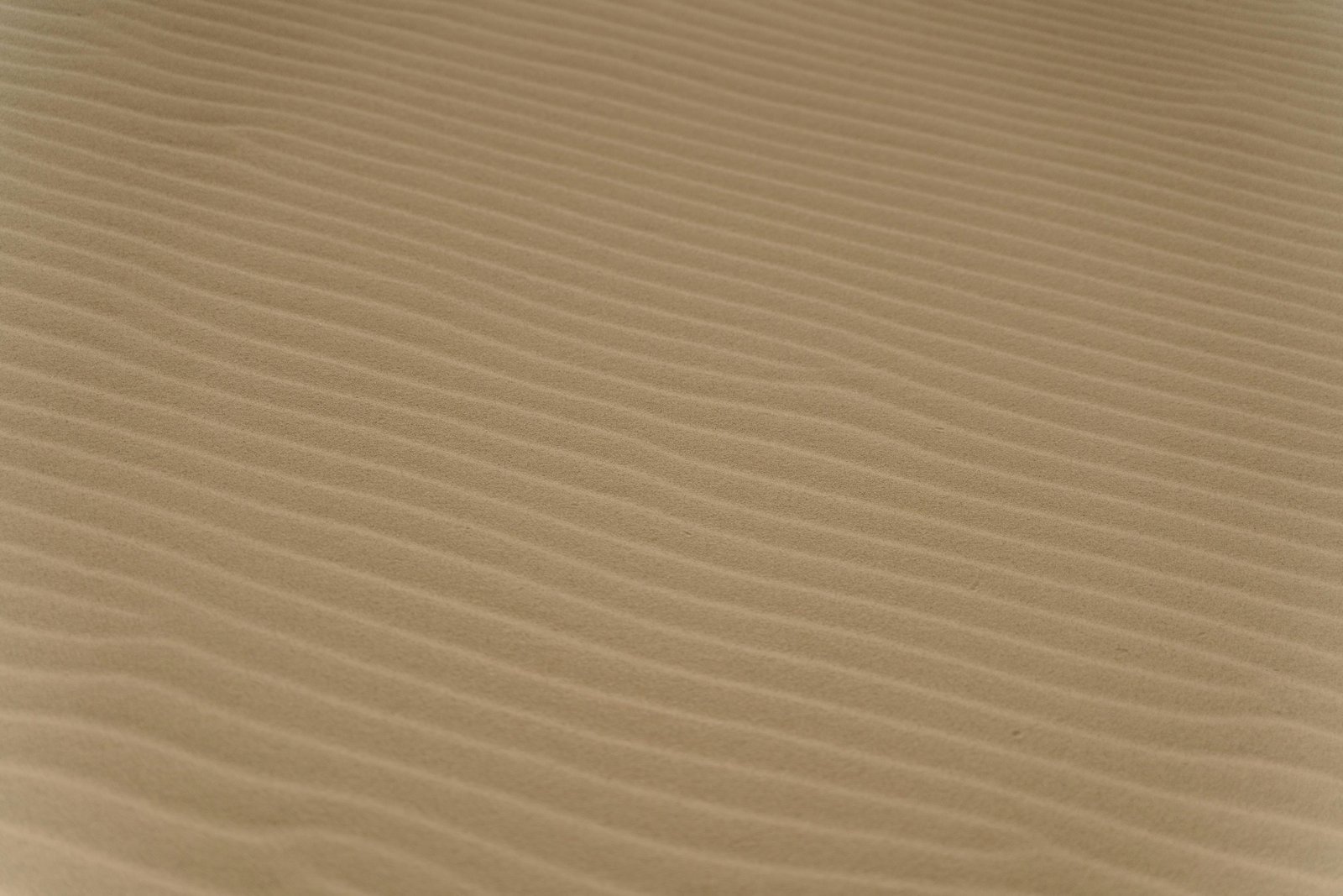 Desert Texture